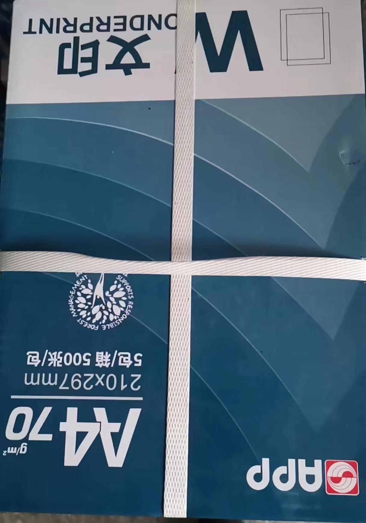 1711965427627479.jpg 微信圖片_20240401175553.jpg